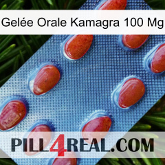 Gelée Orale Kamagra 100 Mg 06